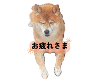 809718906