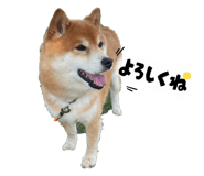 809718911