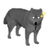 809718917