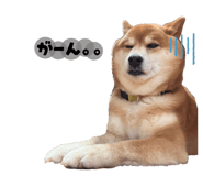 809718918