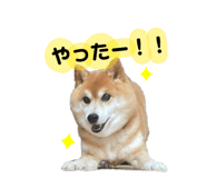 809718920