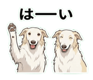 809737058