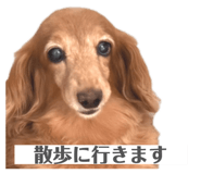 809785168
