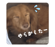 809785171