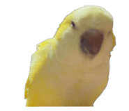 809787990