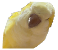 809787998