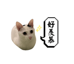 809788306