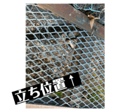 809791105