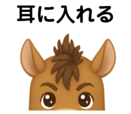 809815116