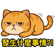 809815278