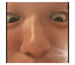 809819588