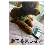809820192