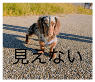 809820206
