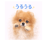 809841334