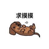 809843102