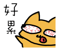 809844500
