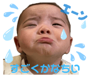 809859071