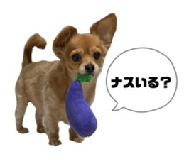 809860749