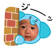 809862778