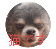 809862825