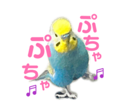 809863968