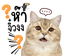 809867811