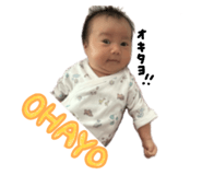 809879977