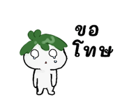 809889153