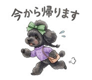 809896007