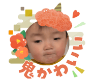 809910946