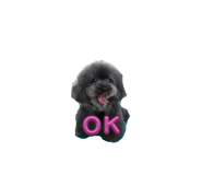 809914234