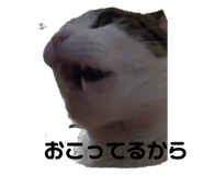 809918586