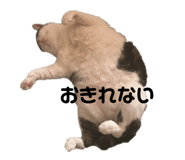 809918588