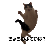 809918610
