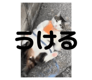 809918622