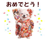 809927822