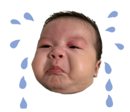 809931857