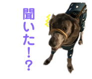 809972113