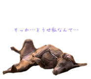 809972118