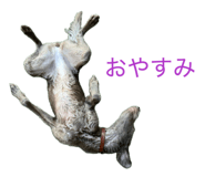 809972139