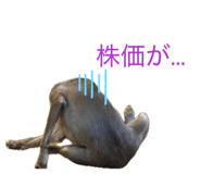 809972140
