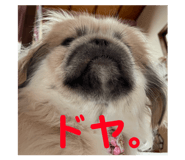 810011346