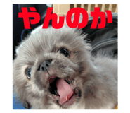 810011355