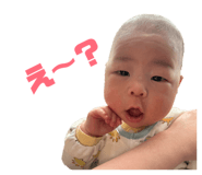810015226