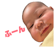 810015228