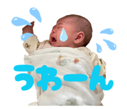 810015242