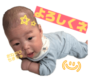 810015243