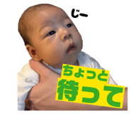 810015251