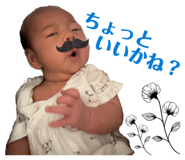 810015255