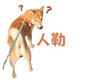 810020539